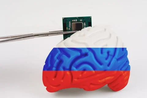 On a white background, a model of the brain with a picture of a flag - Russ.. Foto stock