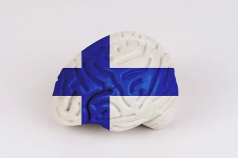 On a white background, a model of the brain with a picture of a flag - Finlan Foto stock