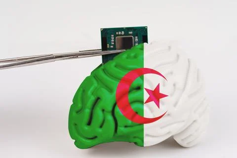 On a white background, a model of the brain with a picture of a flag - Alge.. Foto stock