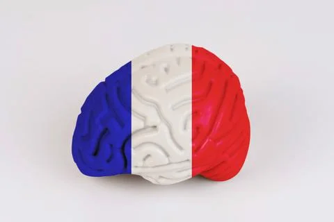 On a white background, a model of the brain with a picture of a flag - France Foto stock