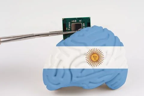 On a white background, a model of the brain with a picture of a flag - Arge.. Foto stock