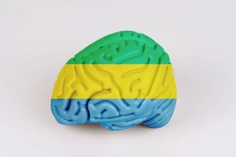 On a white background, a model of the brain with a picture of a flag - Gabon Foto stock