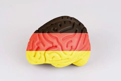 On a white background, a model of the brain with a picture of a flag - German Stock Photos