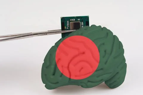 On a white background, a model of the brain with a picture of a flag - Bangla Stock Photos