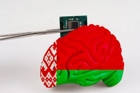 On a white background, a model of the brain with a picture of a flag - Belaru Stock Photos