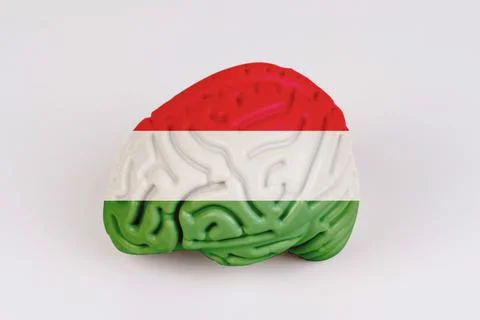 On a white background, a model of the brain with a picture of a flag - Hungar Foto stock