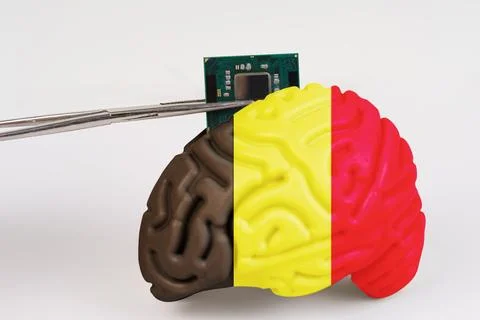 On a white background, a model of the brain with a picture of a flag - Belgiu Stock Photos