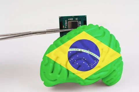 On a white background, a model of the brain with a picture of a flag - Brazil Foto stock