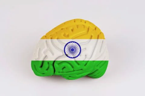 On a white background, a model of the brain with a picture of a flag - India Foto stock