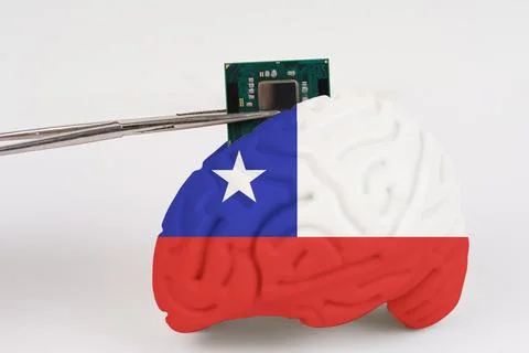 On a white background, a model of the brain with a picture of a flag - Chile, Foto stock