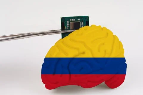 On a white background, a model of the brain with a picture of a flag - Colo.. Foto stock
