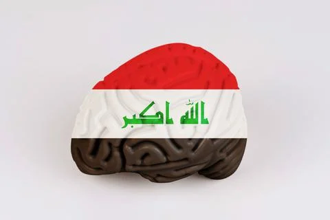 On a white background, a model of the brain with a picture of a flag - Iraq Foto stock