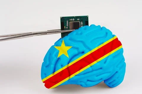 On a white background, a model of the brain with a picture of a flag - Cong.. Stock Photos