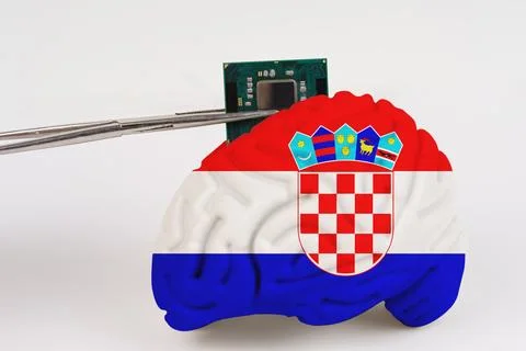 On a white background, a model of the brain with a picture of a flag - Croati Foto stock