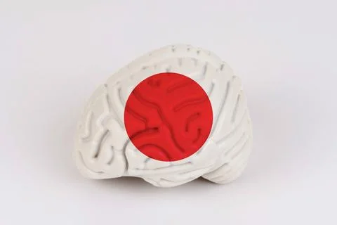 On a white background, a model of the brain with a picture of a flag - Japan Foto stock