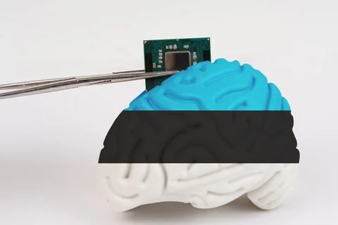 On a white background, a model of the brain with a picture of a flag - Estoni Foto stock