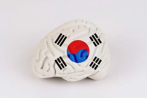 On a white background, a model of the brain with a picture of a flag - Korea Foto stock