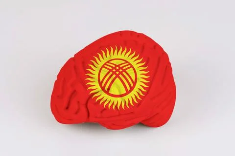 On a white background, a model of the brain with a picture of a flag - Kyrgyz Stock Photos