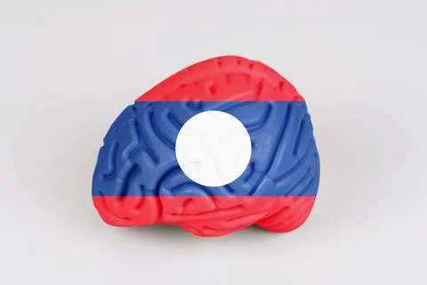 On a white background, a model of the brain with a picture of a flag - Laos Foto stock