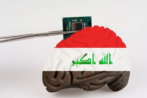 On a white background, a model of the brain with a picture of a flag - Iraq,  Stock Photos