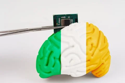 On a white background, a model of the brain with a picture of a flag - Irelan Stock Photos