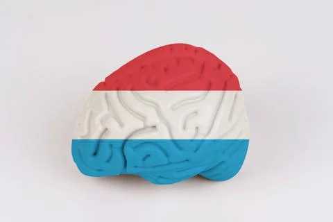 On a white background, a model of the brain with a picture of a flag - Luxemb Foto stock