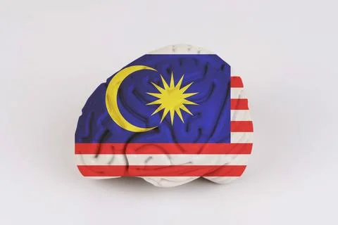 On a white background, a model of the brain with a picture of a flag - Malays Foto stock