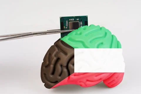 On a white background, a model of the brain with a picture of a flag - Kuwait Foto stock