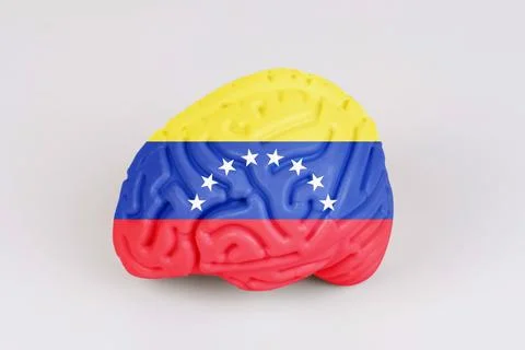 On a white background, a model of the brain with a picture of a flag - Venezu Foto stock