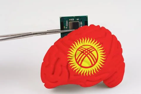 On a white background, a model of the brain with a picture of a flag - Kyrgyz Stock Photos