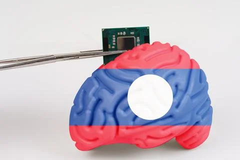 On a white background, a model of the brain with a picture of a flag - Laos.. Foto stock