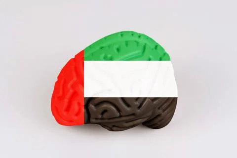On a white background, a model of the brain with a picture of a flag - UAE Stock Photos