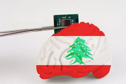 On a white background, a model of the brain with a picture of a flag - Leba.. Stock Photos