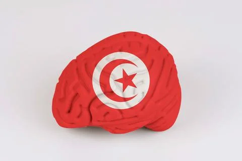 On a white background, a model of the brain with a picture of a flag - Tunisi Foto stock