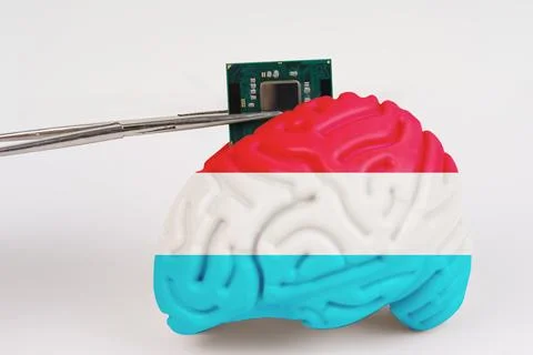 On a white background, a model of the brain with a picture of a flag - Luxe.. Stock Photos
