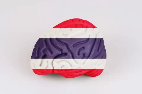 On a white background, a model of the brain with a picture of a flag - Thaila Foto stock
