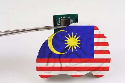 On a white background, a model of the brain with a picture of a flag - Mala.. Foto stock