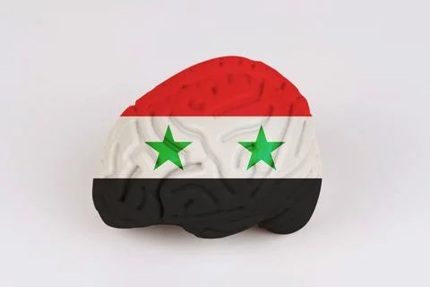 On a white background, a model of the brain with a picture of a flag - Syria Foto stock