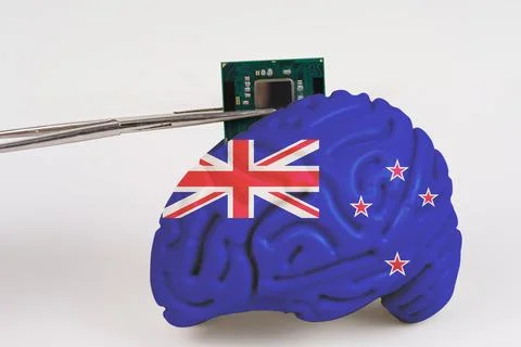 On a white background, a model of the brain with a picture of a flag - New Ze Foto stock