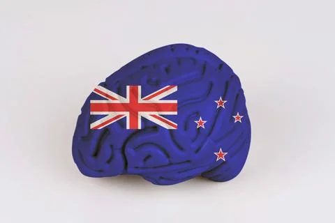 On a white background, a model of the brain with a picture of a flag - New .. Foto stock