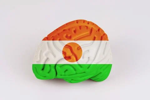 On a white background, a model of the brain with a picture of a flag - Niger Foto stock