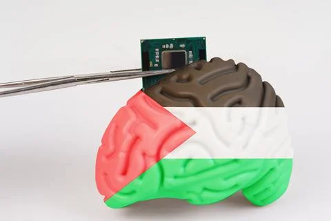 On a white background, a model of the brain with a picture of a flag - Palest Foto stock