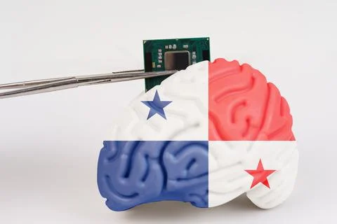 On a white background, a model of the brain with a picture of a flag - Pana.. Stock Photos