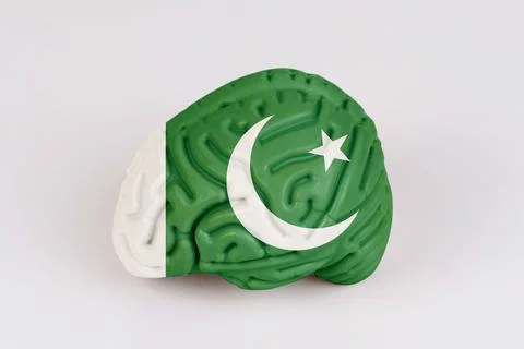 On a white background, a model of the brain with a picture of a flag - Pakist Foto stock