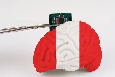 On a white background, a model of the brain with a picture of a flag - Peru,  Foto stock