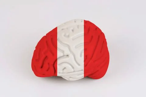On a white background, a model of the brain with a picture of a flag - Peru Stock Photos