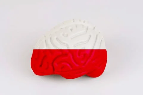 On a white background, a model of the brain with a picture of a flag - Poland Foto stock