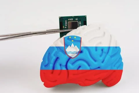 On a white background, a model of the brain with a picture of a flag - Sloven Stock Photos