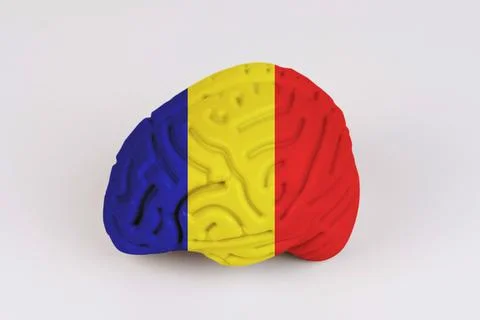 On a white background, a model of the brain with a picture of a flag - Romani Foto stock