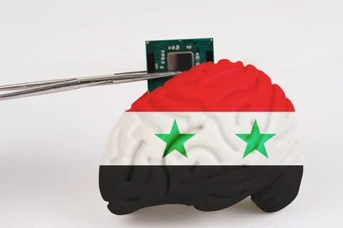 On a white background, a model of the brain with a picture of a flag - Syria, Foto stock